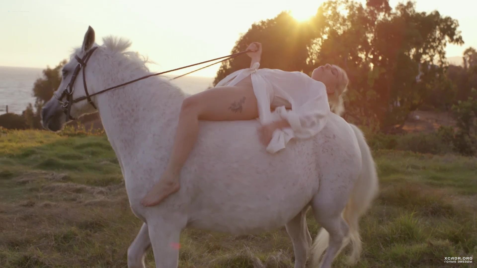 6. Эротичная Леди Гага в халате на коне - Гага: 155 см.